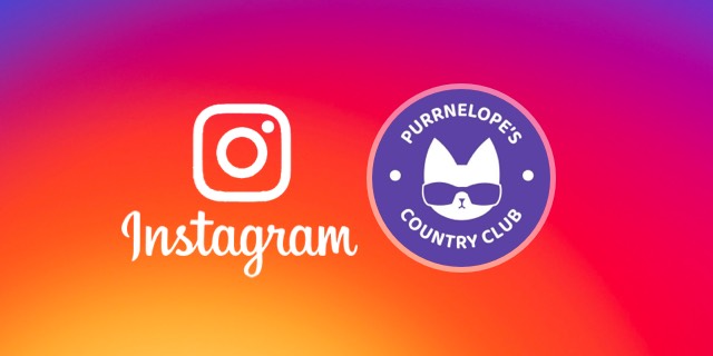 Instagram: @purrnelopes_country_club